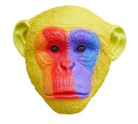 Gifts Direct 2 U Rainbow Monkey Head Wall Ornament