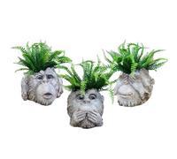 Gifts Direct 2 U Set of 3 Decorative Plant Pots Resin Monkey Head Planter Hear/See/Speak No Evil Animal Design Home Decoration