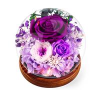 Gifts for Mother, Preserved Eternal Rose in Glass Dome, Real Flowers Gifts for Women, Forever Love Gifts for Mum Wife Girlfriend, Birthday for Her, Christmas Wedding Mother's Day Present, Purple