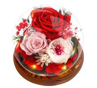 Gifts for Mother, Preserved Eternal Rose in Glass Dome, Real Flowers Gifts for Women, Forever Love Gifts for Mum Wife Girlfriend, Birthday for Her, Christmas Wedding Mother's Day Present, Red