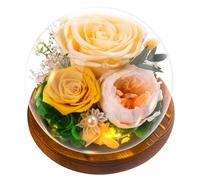 Gifts for Mother, Preserved Eternal Rose in Glass Dome, Real Flowers Gifts for Women, Forever Love Gifts for Mum Wife Girlfriend, Birthday for Her, Christmas Wedding Mother's Day Present, Yellow