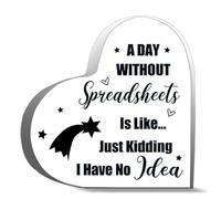 Gifts For Women Men A Day Without Spreadsheets Is Like Just Kidding I Have No Idea Acrylic Heart Keepsake Desk Decor Acrylic Heart Plaques Sign Office Art Decorations 4X4Inch