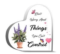 Gifts For Women Men Don T Worry About Things You Can T Control Acrylic Heart Keepsake Desk Decor Acrylic Heart Plaques Sign Office Art Decorations 4X4Inch