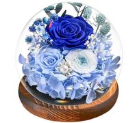 Gifts for Women, Preserved Eternal Rose in Glass Dome, Real Flowers for Her, Forever Love Thoughtful Miss-You Present for Mum Wife Girlfriend on Birthday Christmas Wedding Valentine's Day, Blue