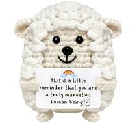 GiftsFU Inspirational Gifts-Positive Sheep Doll Crochet Gifts for Women Teen Girl Boy- This is A Little Reminder-Appreciation Gift for Coworker Friend Sister Teacher Student Mom Daughter Employee
