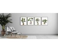 GIFTSHOPUK A2 A3 A4 A5 Set of 4 Prints Botanical Wall Art Décor, Living Room Décor, Bedroom Wall, Green Botanical Pots For Home (Print Only - 8x6)