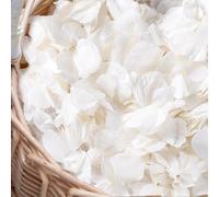 Gifugi 3000+Pcs Real Ivory White Dried Hydrangea Flower Petals - 100% Natural Creamy White Flower Petals for Wedding Confetti, Flower Girl Basket, Romantic Night Decor, DIY Handcrafts (2.12oz)
