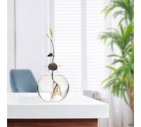 Gifyym Avocado Seed Growing Kit - Glass Versatile Design Vase for Avocado, Acorn and Garlic | Clear Elegant Tree Growing Container