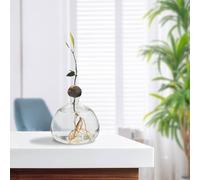 gifyym Avocado Seed Vase - Glass Vase for Avocado, Acorn and Garlic, Versatile Tree Growing Design