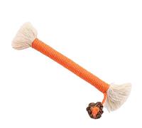 gifyym Silvervine Sticks for Cats - Natural Silvervine Sticks for Kittens Teeth Cleaning,Cat Dentals Toy Safe for Your Feline Friend