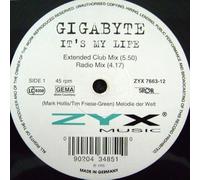 Gigabyte - It's My Life [VINYL]