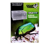 GIGANTERRA Easy Assemble Acrylic Clear 28.5 x 20.5 x 15cm Terrarium For Reptiles, Amphibians with Ventilation