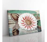 Gigantic Water Lily In Full Bloom By William Sharp Vintage Canvas Wall Art Print Ready to Hang, Framed Picture for Living Room Bedroom Home Office Décor, 76x50 cm (30x20 Inch)