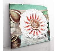 Gigantic Water Lily in Full Bloom by William Sharp Vintage Canvas Wall Art Print Ready to Hang, Framed Picture for Living Room Bedroom Home Office Décor, 35x35 cm (14x14 Inch)