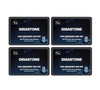 Gigastone 1TB NAS SSD Drive (4-Pack) 24/7 Durable TLC High Endurance RAID Data Storage Network Attached Storage 2.5" SATA Internal Solid State Hard Drives