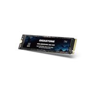 Gigastone SSD 1TB M.2 NAS SSD 24/7 High Endurance Cache for Network Attached Storage Business Data Center Personal Cloud PCIe 3.0 NVMe NAS Internal Solid State Drive
