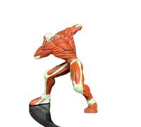 Gigsja 15cm.The Armored Titan Red Vol.2 Reiner Braun Squat PVC Action Figur Angriff auf Titan