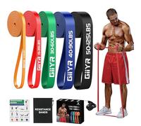 Giiyr Resistance Bands Set for Men & Women - 4 Levels Exercise Band with Door Anchor, Pull Up Bands for Strength Training, Stretching, Powerlifting, Home Workouts, and CrossFit (5pcs)