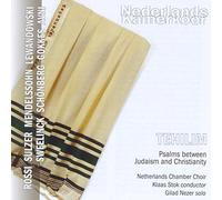 Klaas Stok Tehilim: Psalms Between Judaism and Christianity (CD) Album