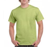 Gildan 2000 Ultra Cotton T-Shirt Pistachio S Colour: Pistachio, Size: S
