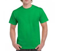 Gildan 5000 Heavy Cotton T-Shirt Irish Green - Size: S Colour: Irish G S