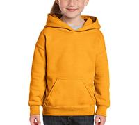 Gildan Boy's Youth Hooded 18500B Hoodie