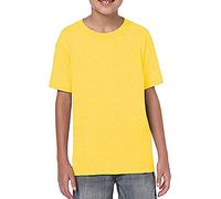 Gildan Childrens Unisex Soft Style T-Shirt (L) (Daisy)