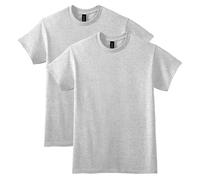 Gildan Men's DryBlend T-Shirt, Style G8000, Multipack, Ash Grey (2-Pack), Large (Pack of 2)