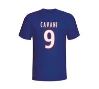 Gildan Men's Edinson Cavani Psg Hero T-Shirt (navy) in Navy | Size: Large Gildan Navy L