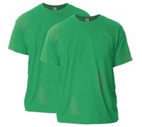 Gildan Unisex's Ultra Cotton T-Shirt, Style G2000, Multipack, Irish Green (2-Pack), L (Pack of 2)