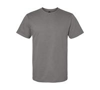 Gildan Unisex Adult Softstyle Midweight T-Shirt (XL) (Charcoal)