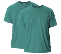 Gildan Unisex's Ultra Cotton T-Shirt, Style G2000, Multipack, Jade Dome (2-Pack), M (Pack of 2)