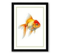 Gilded Goldfish Botanical Framed Wall Art Print A2 (59.4×42cm) Black, Wall Decor for Living Room, Bedroom, Office & Home, Ready to Hang, Art Gift