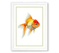 Gilded Goldfish Botanical Framed Wall Art Print A4 (29.7×21cm) White, Wall Decor for Living Room, Bedroom, Office & Home, Ready to Hang, Art Gift