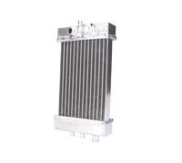 Gilera RCR 5003-05 Naraku Radiator