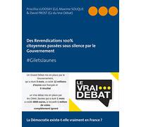 #GILETS JAUNES Revendications 100% citoyennes passées sous silence par le Gouvernement