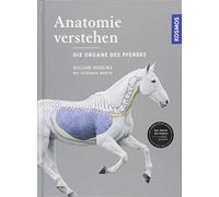 Gillian Higgins Anatomie verstehen - Die Organe des Pferdes: Das Inne (Hardback)