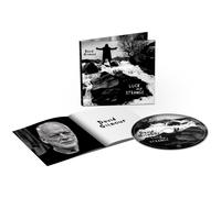 Gilmour, David - David Gilmour - Luck And Strange [cd] [CD]
