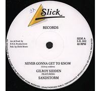 Gilroy Sidden Featuring Sandstorm - Never Gonna Get To Know