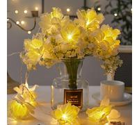 Gimuk Fairy String Lights 10 LED Lights Battery Operated, Fiber Optic Flowers 2M Warm White Garland Firework Fairy Lights for Parties Bedroom Weddings Indoor Outdoor Christmas Decor (White, 10 LED)