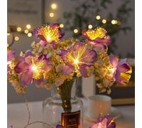 Gimuk Fairy String Lights 20 LED Lights Battery Operated, Fiber Optic Flowers 10ft Warm White Garland Firework Fairy Lights for Parties Bedroom Weddings Indoor Outdoor Christmas Decor (Purple, 20 LED)