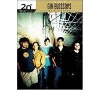 Gin Blossoms-20th Century Mas [DVD] [Region 1] [NTSC]
