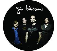 Gin Blossoms - Live In Concert (Picture Disc) [VINYL]