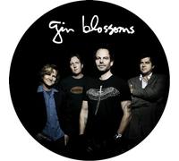 Gin Blossoms - Live In Concert [Vinyl LP] [VINYL]