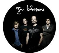 Gin Blossoms - Live In Concert [Vinyl LP] [VINYL]