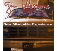 Gin Blossoms - New Miserable Experience by Gin Blossoms (1992) Audio CD