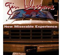 A&M_ Gin Blossoms - New Miserable Experience [VINYL LP] USA import