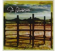 Gin Blossoms - Outside Looking In: The Best of the Gin Blossoms