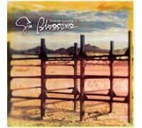Gin Blossoms - Outside Looking In: The Best of the Gin Blossoms