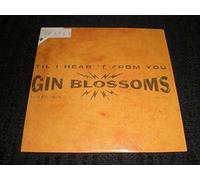 Gin Blossoms - Til I Hear From You